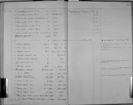 Lepralia gigas Hincks, 1885 - Zoology Accessions Register: Bryozoa: 1922 - 1949: page 123