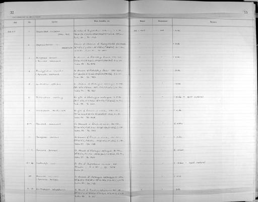 Hemiurus levinseni Odhner, 1905 - Zoology Accessions Register: Platyhelminth: 1987 - 1993: page 33