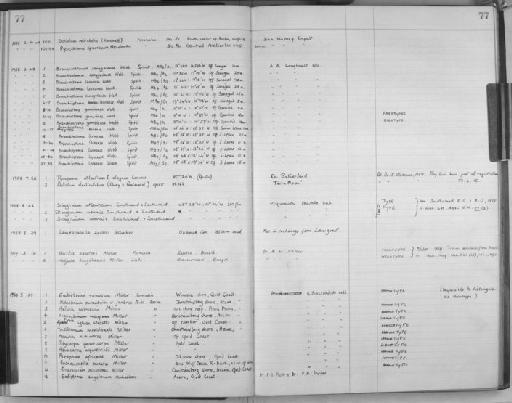 Siboglinum atlanticum Southward and  Southward, 1958 - Zoology Accessions Register: Protochordata & other groups: 1922 - 1993: page 77