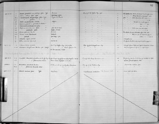 Eulima curva Monterosato, 1874 - Zoology Accessions Register: Mollusca: 1938 - 1955: page 82