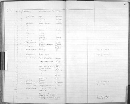 Thryothorus mystacalis saltuensis - Bird Group Collector's Register: Aves - Salvin & Godman Collection Vol 1: 1885 - 1887: page 20