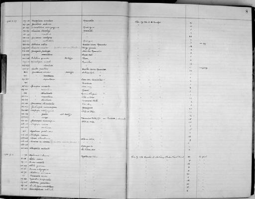 Gonospira palanga subterclass Tectipleura (Lesson, 1831) - Zoology Accessions Register: Mollusca: 1938 - 1955: page 8