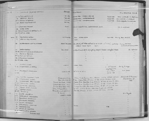 Tilapia nilotica filoa - Zoology Accessions Register: Fishes: 1961 - 1971: page 153