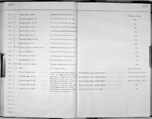 Lyonsiella murrayi subterclass Euheterodonta Knudsen, 1967 - Zoology Accessions Register: Mollusca: 1956 - 1978: page 156