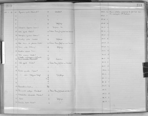 Asbestopluma lycopodium (Levinsen, 1887) - Zoology Accessions Register: Spongiida: 1929 - 1938: page 219