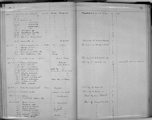 Helix delta subterclass Tectipleura L. Pfeiffer, 1857 - Zoology Accessions Register: Mollusca: 1911 - 1924: page 99