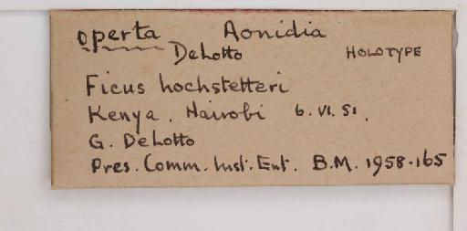 Aonidia operta De Lotto, 1957 - 010714486_additional