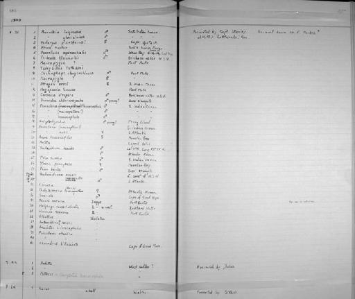 Saxicola torquata - Zoology Accessions Register: Aves (Skins): 1837 -1853: page 682