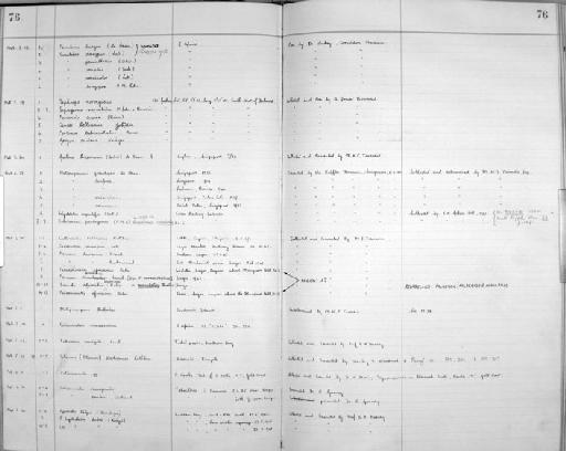 Palaemonetes africanus Balss, 1916 - Zoology Accessions Register: Crustacea: 1935 - 1962: page 76