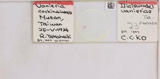 Singhiella vanieriae Takahashi, 1935 - 013488546_117732_1092057_157795_Type