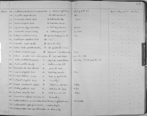 Menipea flagellifera Busk - Zoology Accessions Register: Bryozoa: 1950 - 1970: page 63