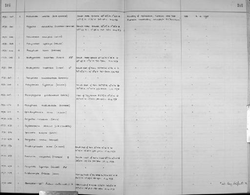 Bathynectes superbus subsection Heterotremata section Eubrachyura (Costa) - Zoology Accessions Register: Crustacea: 1969 - 1976: page 106