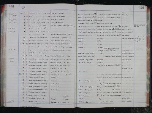 Patellina campanaeformis Brady, 1884 - NHM-UK_P_DF118_04_16_0247