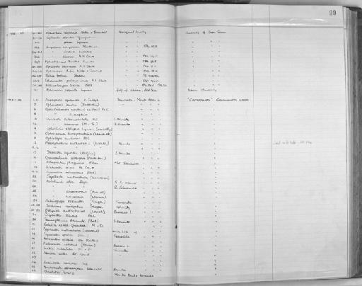 Ophiothrix stelligera Lyman, 1874 - Zoology Accessions Register: Echinodermata: 1935 - 1984: page 99