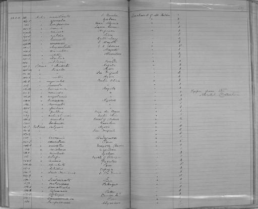 Helix chrysosticta subterclass Tectipleura Morelet, 1867 - Zoology Accessions Register: Mollusca: 1884 - 1893: page 239