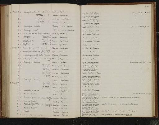 Lepidocyclina elephantina Lemoine & Douville, 1904 - NHM-UK_P_DF118_04_03_0377