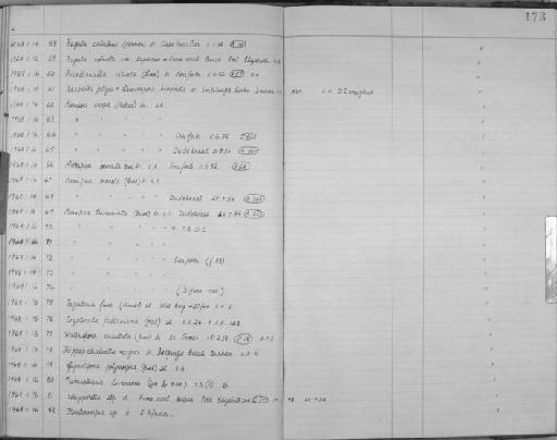 Cryptosula pallasiana (Moll, 1803) - Zoology Accessions Register: Bryozoa: 1950 - 1970: page 173
