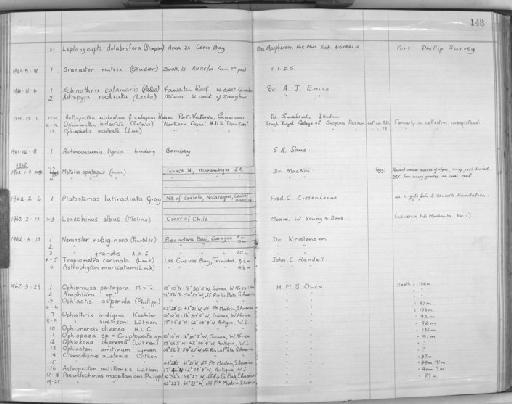 Amphiura Forbes, 1843 - Zoology Accessions Register: Echinodermata: 1935 - 1984: page 148