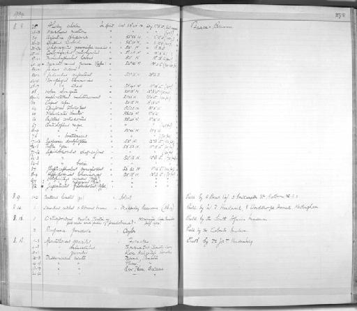 Molva elongata - Zoology Accessions Register: Fishes: 1912 - 1936: page 298