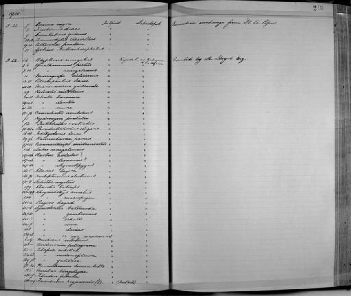 Sarotherodon galilaeus (Linnaeus, 1758) - Zoology Accessions Register: Fishes: 1912 - 1936: page 218