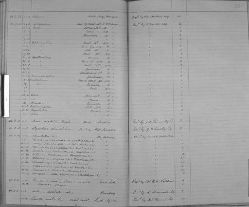 Diplommatina sulphurea Smith, 1893 - Zoology Accessions Register: Mollusca: 1884 - 1893: page 221