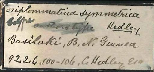 Diplommatina symmetrica Hedley, 1891 - Diplommatina symmetrica Hedley, 1891 - SYNTYPES - 1892.2.6.100-106