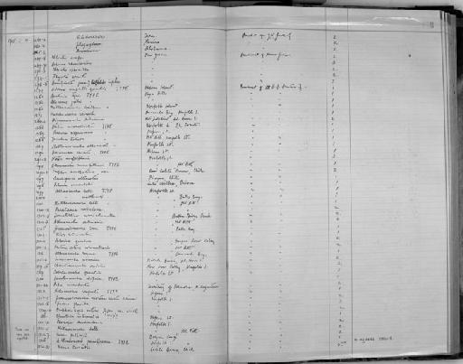 Advena campbelli quintali Preston - Zoology Accessions Register: Mollusca: 1911 - 1924: page 158