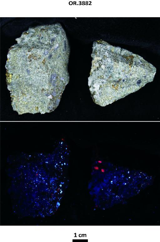 Chalcopyrite, galena, pyrite + scheelite (IV stage); quartz, siderite, ankerite (V stage) - OR.3882 photographs