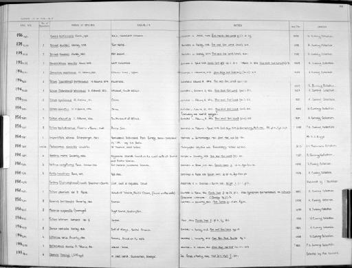 Terebra (Triplostephanus) insalli Bratcher & Burch, 1967 - Zoology Accessions Register: Mollusca: 1962 - 1969: page 195