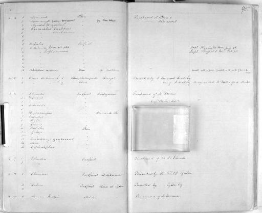 Gobius burtoni O'Shaughnessy, 1875 - Zoology Accessions Register: Mammals: 1861 - 1890: page 90