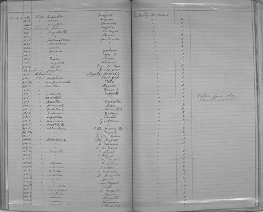 Helix vidaliana subterclass Tectipleura Morelet & Drouët, 1857 - Zoology Accessions Register: Mollusca: 1884 - 1893: page 238