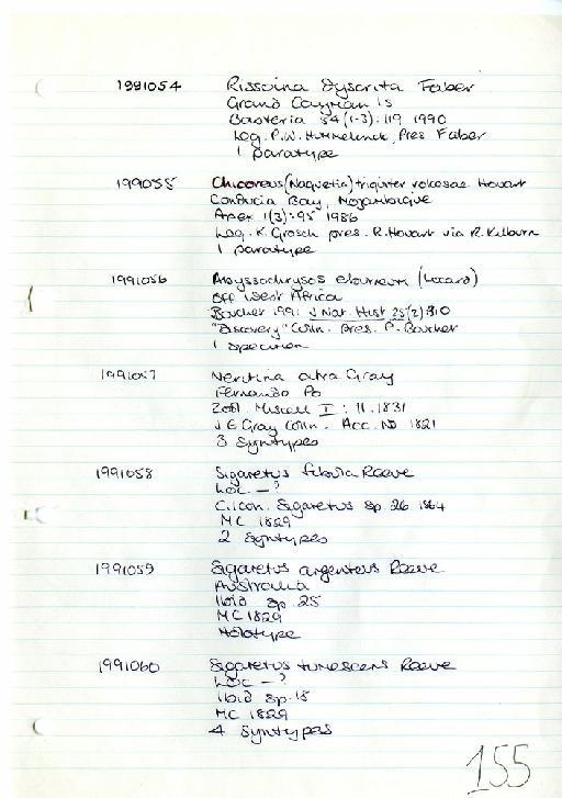 Chicoreus (Naquetia) triqueter vokesae Houart, 1986 - Zoology Accessions Register: Mollusca: 1986 - 1993: page 155