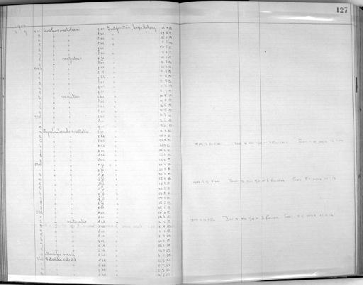 Mirafra sabota bradfieldi (Roberts, 1928) - Zoology Accessions Register: Aves (Skins): 1902 - 1904: page 127