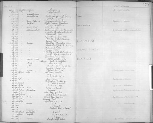 porcellana - Zoology Accessions Register: Crustacea - Norman Collection: 1911: page 179