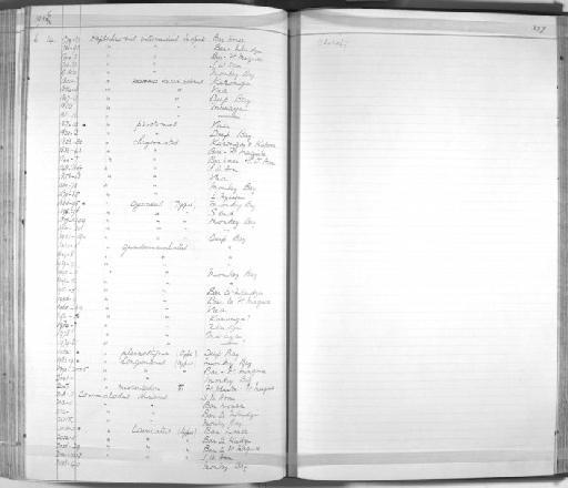 Haplochromis longimanus Trewavas, 1935 - Zoology Accessions Register: Fishes: 1912 - 1936: page 337