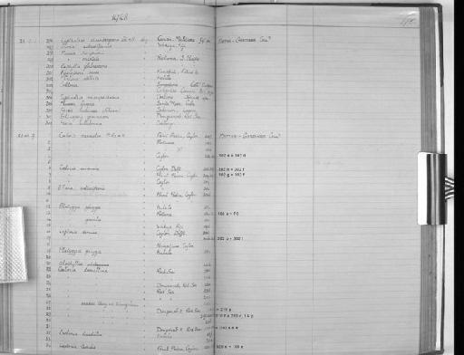 Leptastrea ehrenbergana Milne Edwards & Haime, 1849 - Zoology Accessions Register: Coelenterata & Anthozoa: 1884 - 1934: page 178