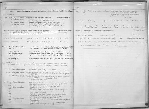 Gadus macrocephalus Tilesius, 1810 - Zoology Accessions Register: Fishes: 1971 - 1985: page 413