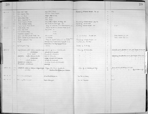 Marginella desjardinii Marche-Marchad, 1957 - Zoology Accessions Register: Mollusca: 1956 - 1978: page 20