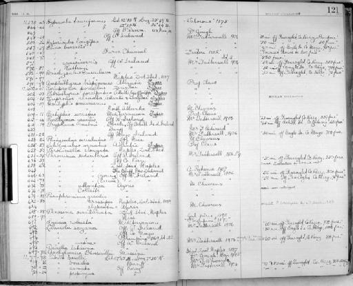 Vibilia bovallii parvorder Physocephalatidira - Zoology Accessions Register: Crustacea - Norman Collection: 1911: page 121