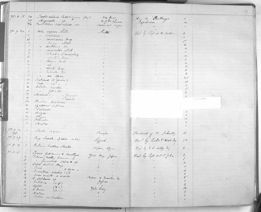 Helix vermiculata subterclass Tectipleura O. F. Müller, 1774 - Zoology Accessions Register: Mollusca: 1877 - 1883: page 39