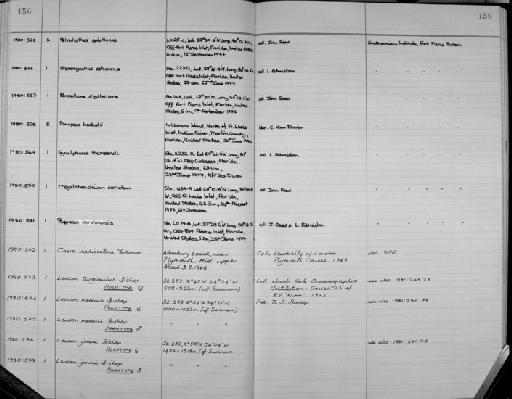 Leucon turgidus Bishop - Zoology Accessions Register: Crustacea: 1976 - 1984: page 156