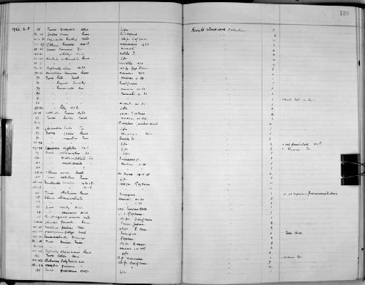 Mangilia posidonia Melvill, 1904 - Zoology Accessions Register: Mollusca: 1938 - 1955: page 139