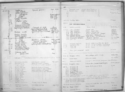 Aequidens zamorensis - Zoology Accessions Register: Fishes: 1971 - 1985: page 297