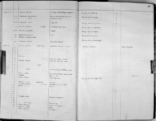 Rhiostoma macalpinewoodsi Laidlaw, 1939 - Zoology Accessions Register: Mollusca: 1938 - 1955: page 20