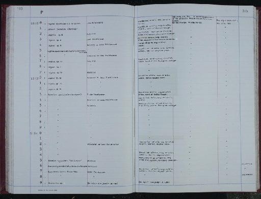 Solenina foliformis (Buchner) - NHM-UK_P_DF118_04_07_0231