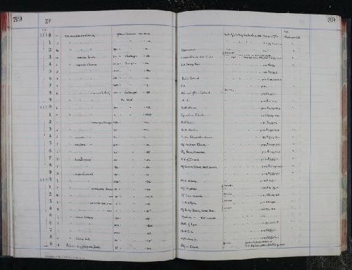 Biloculina bulloides Orbigny, 1826 - NHM-UK_P_DF118_04_16_0083