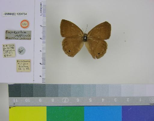 Euptychia affinis Butler, 1867 - BMNH(E)_1204754_Yphthimoides_(Euptychia)_affinis_Butler_T_female_ (1)