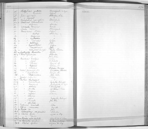 Naso genimarginatus Herre, 1927 - Zoology Accessions Register: Fishes: 1912 - 1936: page 276