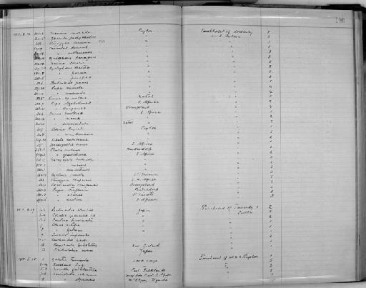 Cataulus decorus Benson - Zoology Accessions Register: Mollusca: 1911 - 1924: page 108