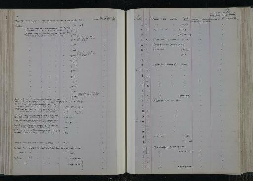 Aetheretmon valentiacum White, 1927 - NHM-UK_P_DF118_03_11_0121